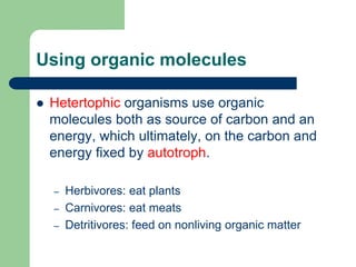 Using organic molecules
 Hetertophic organisms use organic
molecules both as source of carbon and an
energy, which ultimately, on the carbon and
energy fixed by autotroph.
– Herbivores: eat plants
– Carnivores: eat meats
– Detritivores: feed on nonliving organic matter
 