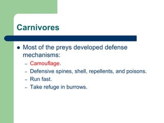 Carnivores
 Most of the preys developed defense
mechanisms:
– Camouflage.
– Defensive spines, shell, repellents, and poisons.
– Run fast.
– Take refuge in burrows.
 