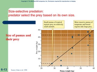Copyright © The McGraw-Hill Companies, Inc. Permission required for reproduction or display.
Size of pumas and
their prey
6-13 Source: Iriate et al. 1990
Size-selective predation:
predator select the prey based on its own size.
 