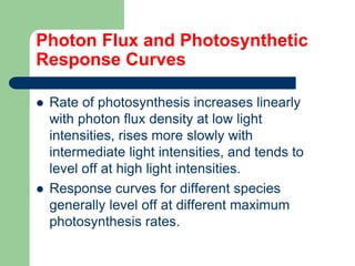 Photon Flux and Photosynthetic
Response Curves
 Rate of photosynthesis increases linearly
with photon flux density at low light
intensities, rises more slowly with
intermediate light intensities, and tends to
level off at high light intensities.
 Response curves for different species
generally level off at different maximum
photosynthesis rates.
 