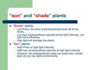 “sun” and “shade” plants
 “Shade” plants:
– Low Pmax, the rates of photosynthesis level off at low
levels.
– Low Isat, photosynthesis saturate at low light intensity, use
light more efficiency.
– High light will damage the plants.
 “Sun” plants:
– High Pmax at high light intensity.
– High Isat, photosynthesis saturate at high light intensity.
– However, the photosynthesis rates are lower than “shade”
plant at very low light environments.
 