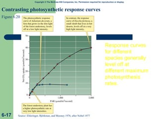 Copyright © The McGraw-Hill Companies, Inc. Permission required for reproduction or display.
Contrasting photosynthetic response curves
Figure 6.20
6-17 Source: Ehleringer, Björkman, and Mooney 1976, after Nobel 1977
Response curves
for different
species generally
level off at
different maximum
photosynthesis
rates.
 