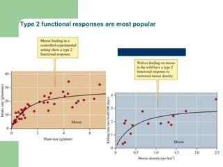 Type 2 functional responses are most popular
 
