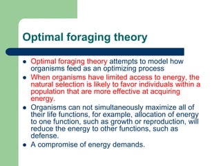 Optimal foraging theory
 Optimal foraging theory attempts to model how
organisms feed as an optimizing process
 When organisms have limited access to energy, the
natural selection is likely to favor individuals within a
population that are more effective at acquiring
energy.
 Organisms can not simultaneously maximize all of
their life functions, for example, allocation of energy
to one function, such as growth or reproduction, will
reduce the energy to other functions, such as
defense.
 A compromise of energy demands.
 