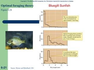 Copyright © The McGraw-Hill Companies, Inc. Permission required for reproduction or display.
Optimal foraging theory
Figure 6.24
6-21 Source: Werner and Mittelbach 1981
Bluegill Sunfish
 