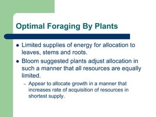 Optimal Foraging By Plants
 Limited supplies of energy for allocation to
leaves, stems and roots.
 Bloom suggested plants adjust allocation in
such a manner that all resources are equally
limited.
– Appear to allocate growth in a manner that
increases rate of acquisition of resources in
shortest supply.
 