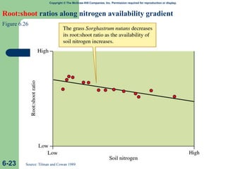 Copyright © The McGraw-Hill Companies, Inc. Permission required for reproduction or display.
Root:shoot ratios along nitrogen availability gradient
Figure 6.26
6-23 Source: Tilman and Cowan 1989
 