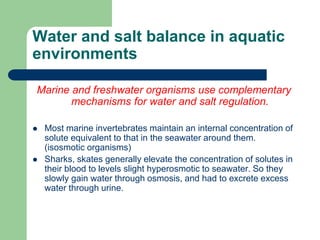 Water and salt balance in aquatic
environments
Marine and freshwater organisms use complementary
mechanisms for water and salt regulation.
 Most marine invertebrates maintain an internal concentration of
solute equivalent to that in the seawater around them.
(isosmotic organisms)
 Sharks, skates generally elevate the concentration of solutes in
their blood to levels slight hyperosmotic to seawater. So they
slowly gain water through osmosis, and had to excrete excess
water through urine.
 