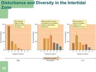 35
Disturbance and Diversity in the Intertidal
Zone
 