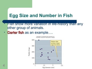 Egg Size and Number in Fish
• Fish show more variation in life-history than any
other group of animals.
• Darter fishDarter fish as an example….
4
 