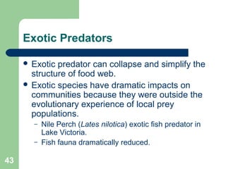 Exotic Predators
 Exotic predator can collapse and simplify the
structure of food web.
 Exotic species have dramatic impacts on
communities because they were outside the
evolutionary experience of local prey
populations.
– Nile Perch (Lates nilotica) exotic fish predator in
Lake Victoria.
– Fish fauna dramatically reduced.
43
 