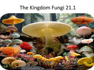 The Kingdom Fungi 21.1 