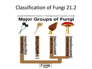 Classification of Fungi 21.2 