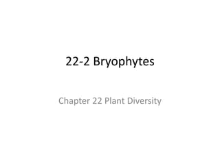 22-2 Bryophytes Chapter 22 Plant Diversity  