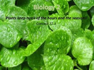 Plants keep track of the hours and the seasons!
                 Concept 22.3
 
