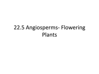 22.5 Angiosperms- Flowering
           Plants
 