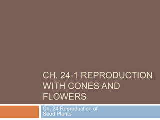 Ch. 24-1 Reproduction With Cones and Flowers Ch. 24 Reproduction of Seed Plants 