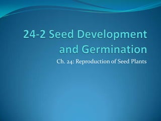 24-2 Seed Development and Germination Ch. 24: Reproduction of Seed Plants 