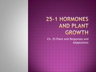 25-1 Hormones and Plant Growth Ch. 25 Plant and Responses and Adaptations 