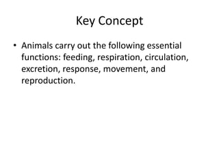 Key Concept
• Animals carry out the following essential
  functions: feeding, respiration, circulation,
  excretion, response, movement, and
  reproduction.
 