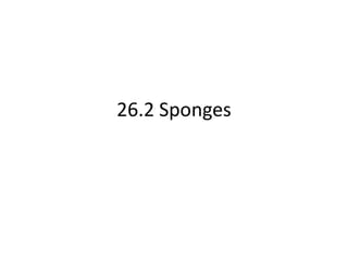 26.2 Sponges
 