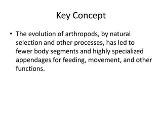 Biology 28 1 introduction to the arthropods | PPTX