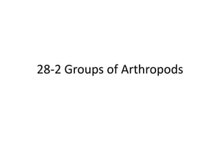 28-2 Groups of Arthropods
 