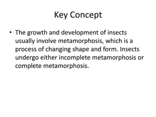 Key ConceptThe growth and development of insects usually involve metamorphosis, which is a process of changing shape and form. Insects undergo either incomplete metamorphosis or complete metamorphosis.
