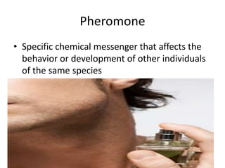 PheromoneSpecific chemical messenger that affects the behavior or development of other individuals of the same species