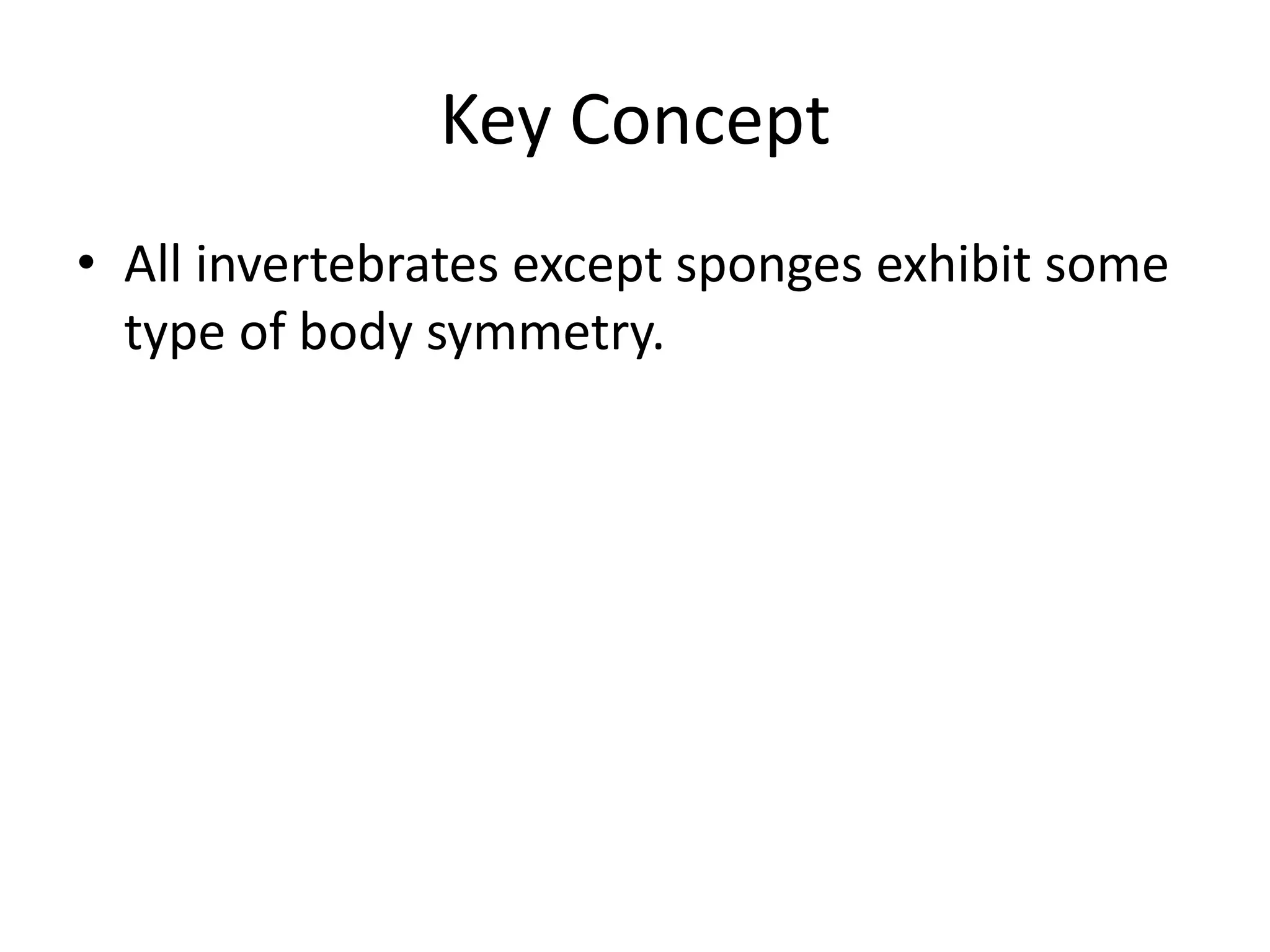 Key ConceptAll invertebrates except sponges exhibit some type of body symmetry.