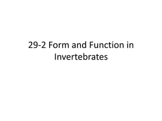 29-2 Form and Function in Invertebrates 