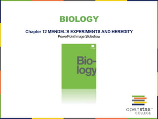 Chapter 12 MENDEL’S EXPERIMENTS AND HEREDITY
PowerPoint Image Slideshow
BIOLOGY
 