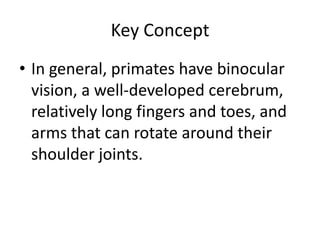 Key ConceptIn general, primates have binocular vision, a well-developed cerebrum, relatively long fingers and toes, and arms that can rotate around their shoulder joints.