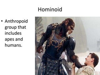HominoidAnthropoid group that includes apes and humans.