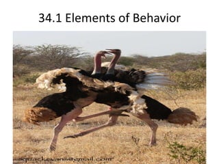 34.1 Elements of Behavior  