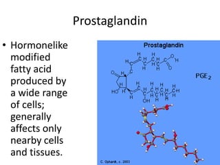 Prostaglandin Hormonelike modified fatty acid produced by a wide range of cells; generally affects only nearby cells and tissues. 