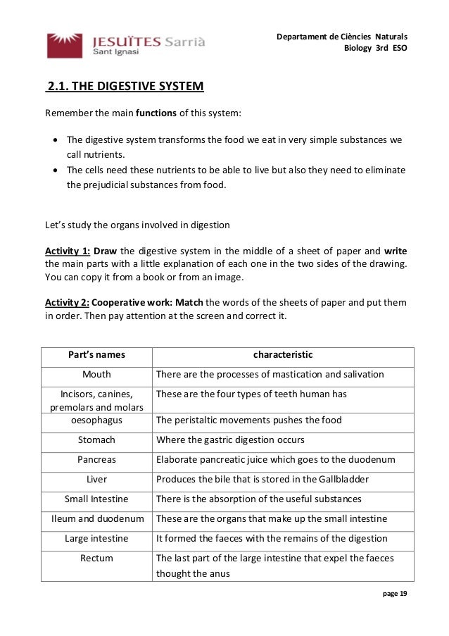 Chemical And Physical Process Of Digestion Lab Activity 2 - 