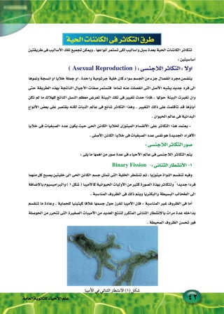 Biology 3secegypt | PDF