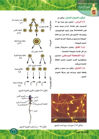 Biology 3secegypt | PDF