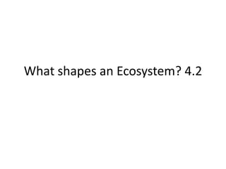 What shapes an Ecosystem? 4.2 
