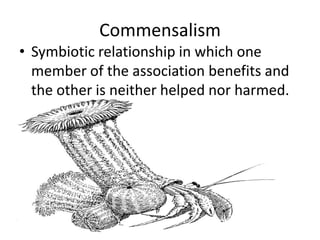CommensalismSymbiotic relationship in which one member of the association benefits and the other is neither helped nor harmed.
