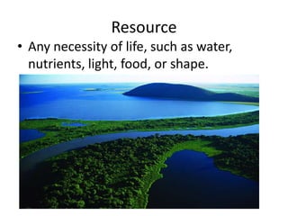 Resource Any necessity of life, such as water, nutrients, light, food, or shape. 