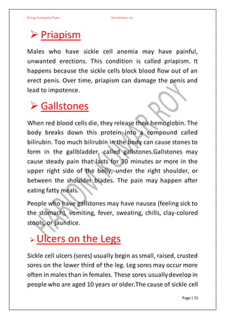 BiologyInvestigatoryProject Hariom kumar roy
Page | 15
 Priapism
Males who have sickle cell anemia may have painful,
unwanted erections. This condition is called priapism. It
happens because the sickle cells block blood flow out of an
erect penis. Over time, priapism can damage the penis and
lead to impotence.
 Gallstones
When red blood cells die, they release their hemoglobin. The
body breaks down this protein into a compound called
bilirubin. Too much bilirubin in the body can cause stones to
form in the gallbladder, called gallstones.Gallstones may
cause steady pain that lasts for 30 minutes or more in the
upper right side of the belly, under the right shoulder, or
between the shoulder blades. The pain may happen after
eating fatty meals.
People who have gallstones may have nausea (feeling sick to
the stomach), vomiting, fever, sweating, chills, clay-colored
stools, or jaundice.
 Ulcers on the Legs
Sickle cell ulcers (sores) usually begin as small, raised, crusted
sores on the lower third of the leg. Leg sores may occur more
often in males than in females. These sores usuallydevelop in
people who are aged 10 years or older.The cause of sickle cell
 