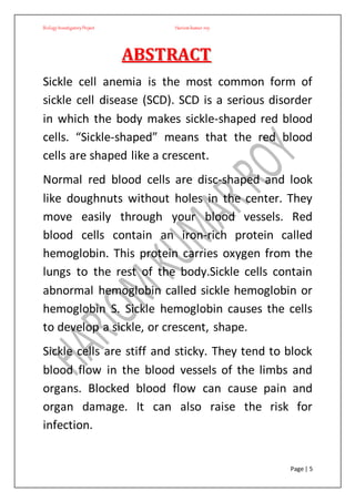 BiologyInvestigatoryProject Hariom kumar roy
Page | 5
AABBSSTTRRAACCTT
Sickle cell anemia is the most common form of
sickle cell disease (SCD). SCD is a serious disorder
in which the body makes sickle-shaped red blood
cells. “Sickle-shaped” means that the red blood
cells are shaped like a crescent.
Normal red blood cells are disc-shaped and look
like doughnuts without holes in the center. They
move easily through your blood vessels. Red
blood cells contain an iron-rich protein called
hemoglobin. This protein carries oxygen from the
lungs to the rest of the body.Sickle cells contain
abnormal hemoglobin called sickle hemoglobin or
hemoglobin S. Sickle hemoglobin causes the cells
to develop a sickle, or crescent, shape.
Sickle cells are stiff and sticky. They tend to block
blood flow in the blood vessels of the limbs and
organs. Blocked blood flow can cause pain and
organ damage. It can also raise the risk for
infection.
 