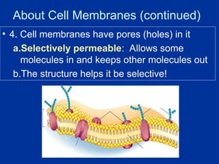 Comprehensive Overview of Cellular Transport Mechanisms and Membrane ...