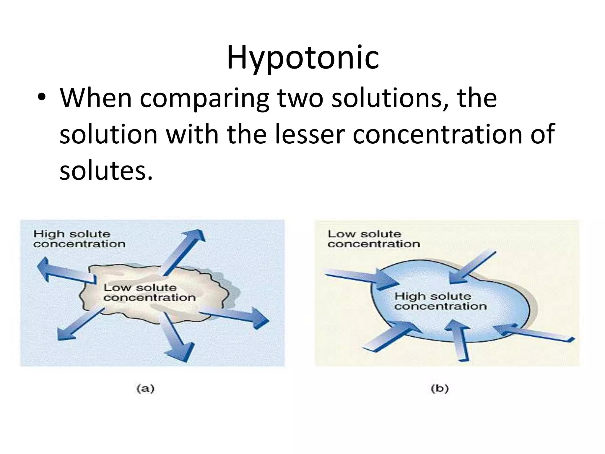 HypotonicWhen comparing two solutions, the solution with the lesser concentration of solutes.