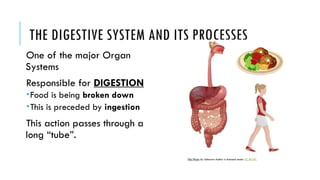 Biology 8 - Digestive System COJCPS.pptx