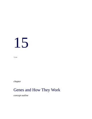 15
1.2 µm




chapter


Genes and How They Work
concept outline
 
