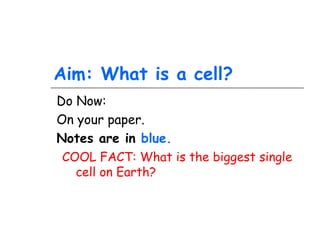 Aim: What is a cell?
Do Now:
On your paper.
Notes are in blue.
COOL FACT: What is the biggest single
cell on Earth?
 