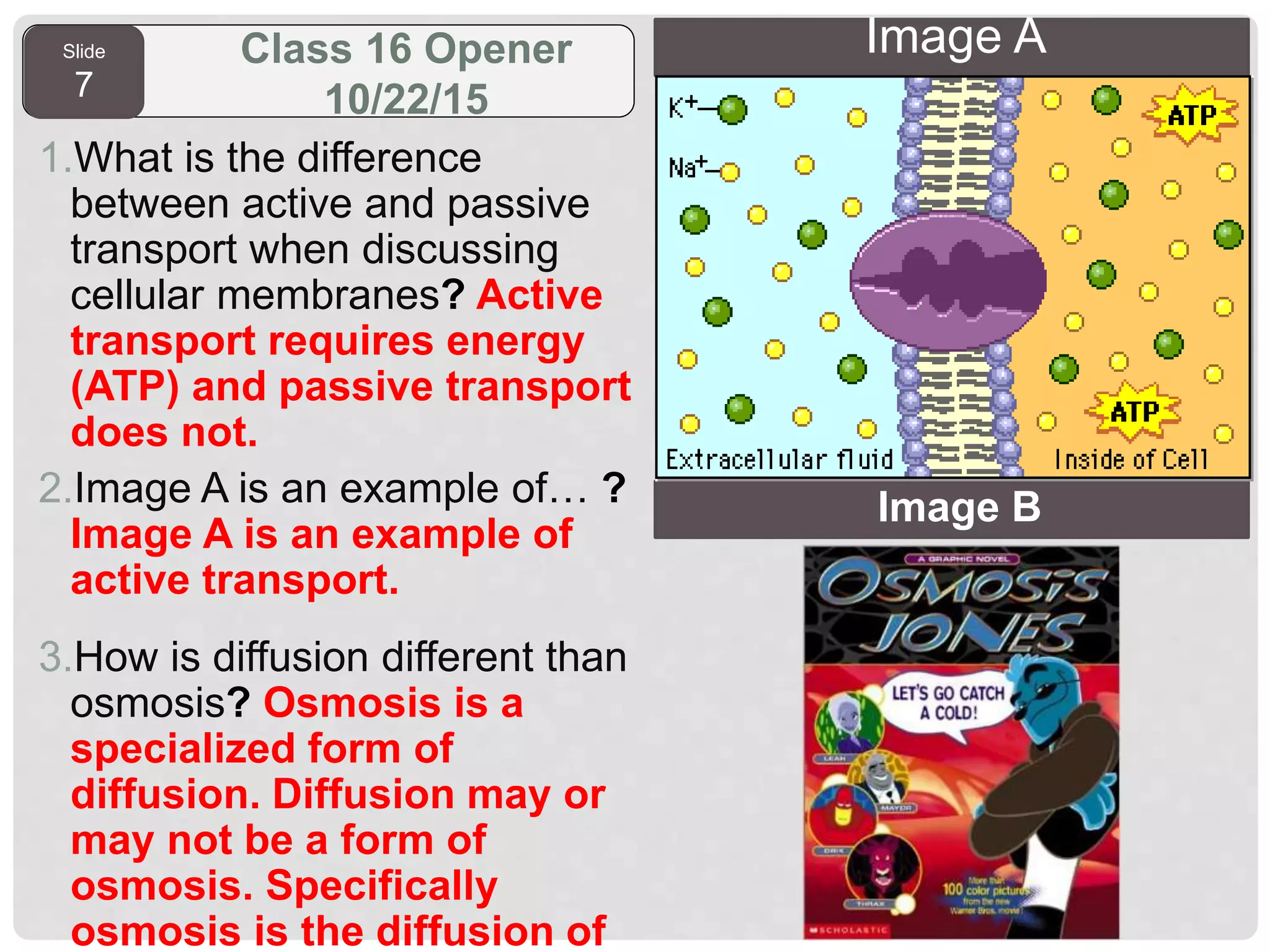 Slide
7
Class 16 Opener
10/22/15
1.What is the difference
between active and passive
transport when discussing
cellular membranes? Active
transport requires energy
(ATP) and passive transport
does not.
2.Image A is an example of… ?
Image A is an example of
active transport.
3.How is diffusion different than
osmosis? Osmosis is a
specialized form of
diffusion. Diffusion may or
may not be a form of
osmosis. Specifically
osmosis is the diffusion of
Image B
Image A
 